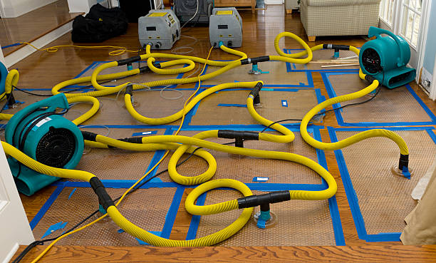Professional Burst Pipe Water Damage technician working in Williamsburg, IA